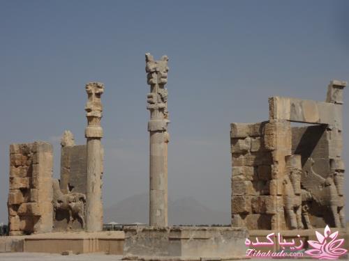 .:آلبوم عکسهای خودگرفته ما:.